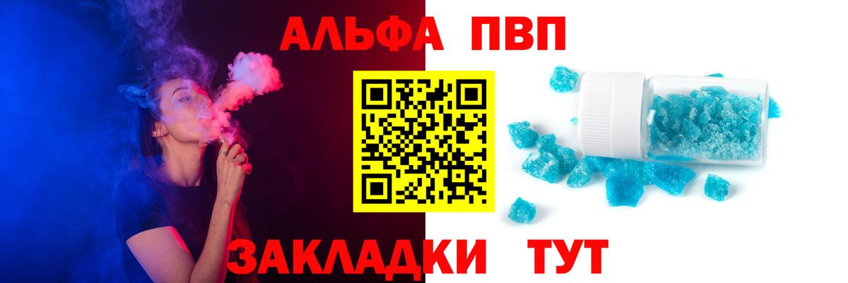Альфа ПВП СК Балтийск