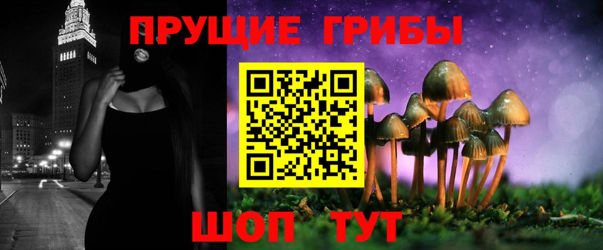 Балтийск  Псилоцибиновые грибы мухоморы  Вход с VPN  Псилоцибиновые грибы Cubensis 
