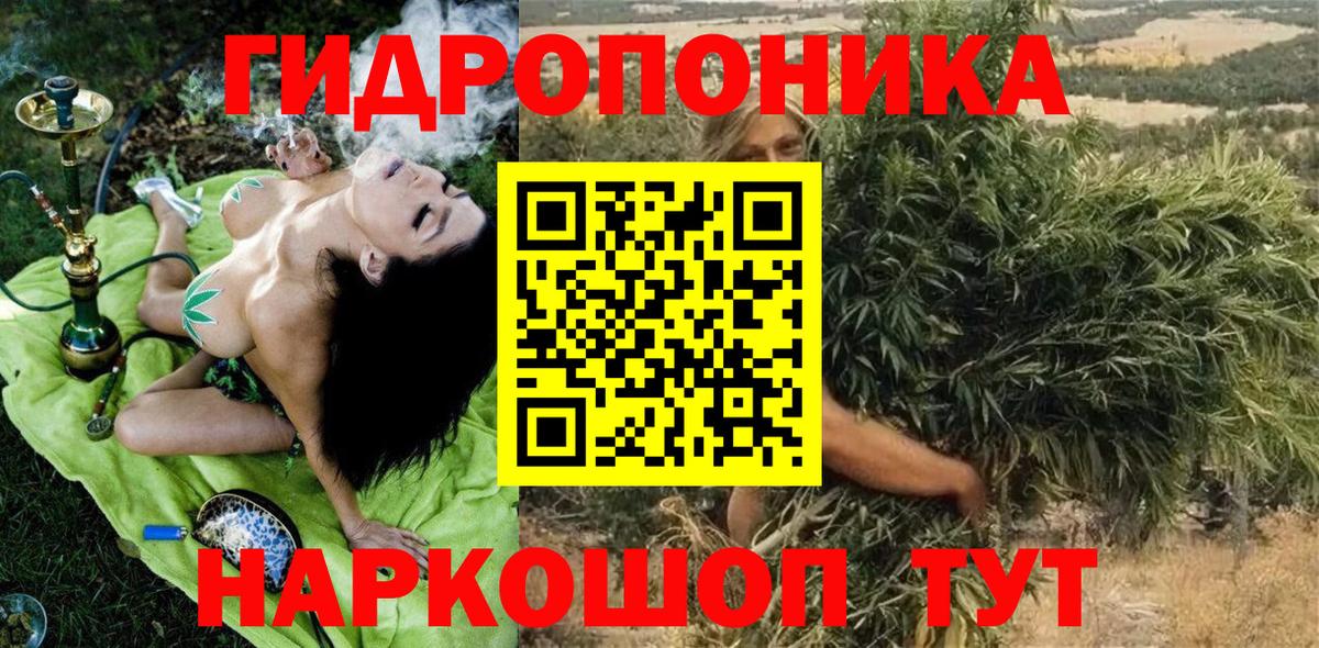 Каннабис OG Kush  Бошки Шишки AK-47  Вход с VPN  Балтийск  МАРИХУАНА сатива  Бошки Шишки MAZAR 